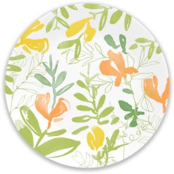 Contemporary Fruit 8.5 Salad Plate-4 Pack